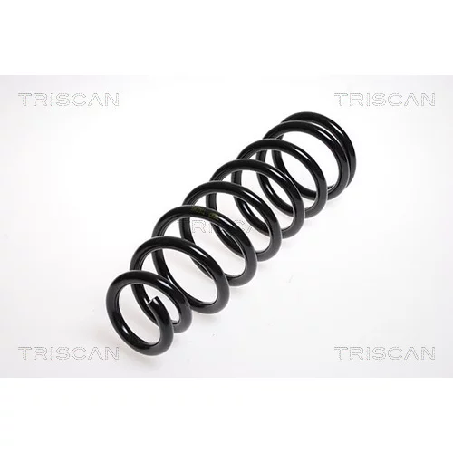 Pružina podvozku TRISCAN 8750 5060
