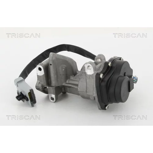 EGR ventil 8813 10202 /TRISCAN/ - obr. 3