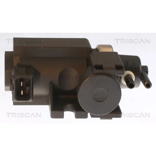 Menič tlaku, Riadenie výfukových plynov 8813 11016 /TRISCAN/ - obr. 1
