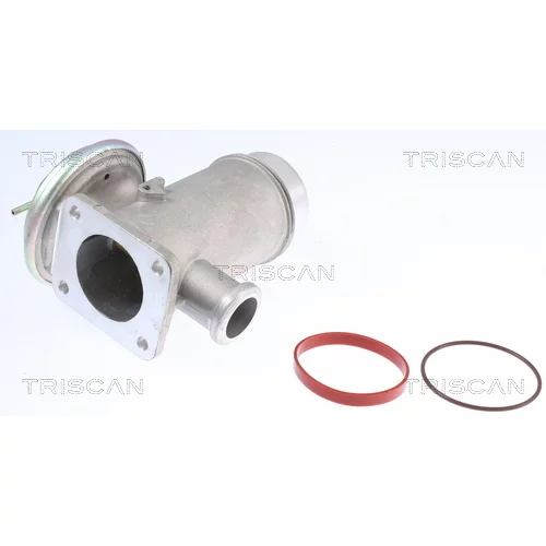 EGR ventil 8813 11102 /TRISCAN/ - obr. 1