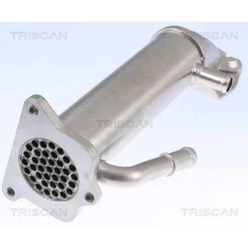 Chladič pre recirkuláciu plynov 8813 16109 /TRISCAN/ - obr. 1
