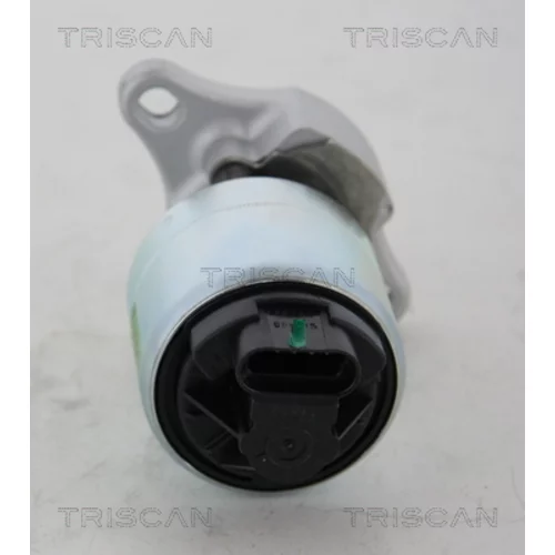 EGR ventil 8813 21001 /TRISCAN/ - obr. 3