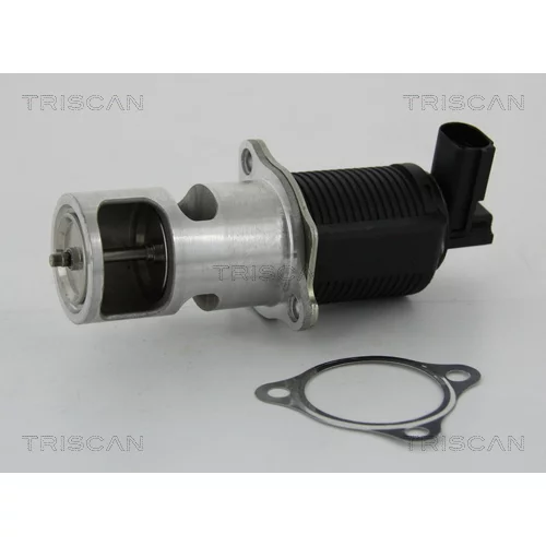 EGR ventil TRISCAN 8813 24055