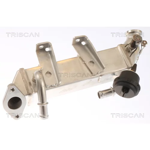 Chladič pre recirkuláciu plynov 8813 25103 /TRISCAN/ - obr. 1