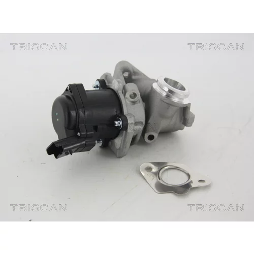 EGR ventil TRISCAN 8813 28003