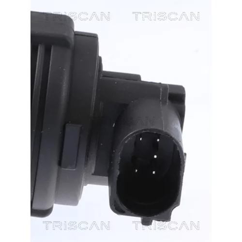EGR ventil 8813 29009 /TRISCAN/ - obr. 1