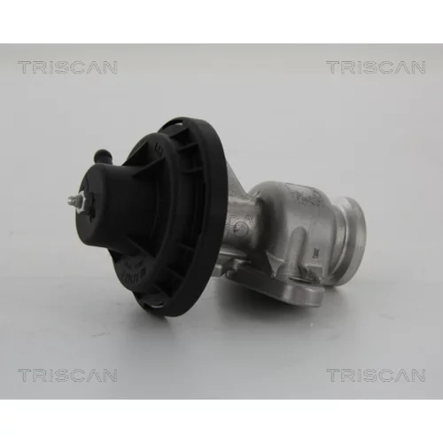 EGR ventil 8813 29034 /TRISCAN/