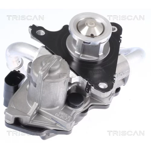 EGR ventil 8813 29058 /TRISCAN/ - obr. 2