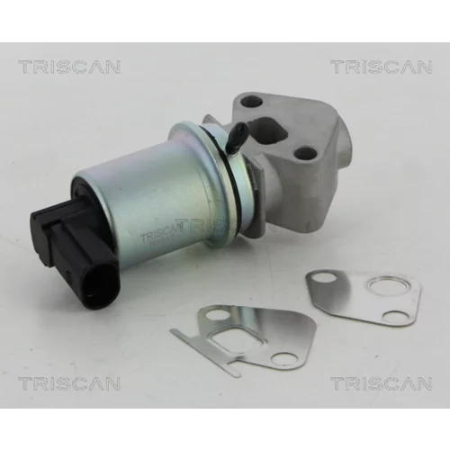 EGR ventil TRISCAN 8813 29066