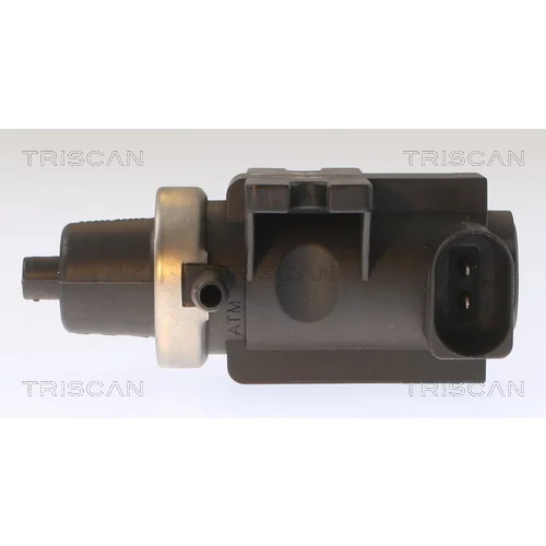 Menič tlaku, Riadenie výfukových plynov 8813 29082 /TRISCAN/ - obr. 1