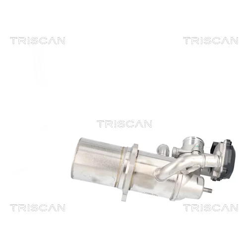 EGR ventil TRISCAN 8813 29117