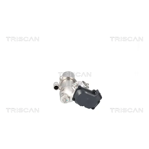 EGR ventil 8813 29117 /TRISCAN/ - obr. 2