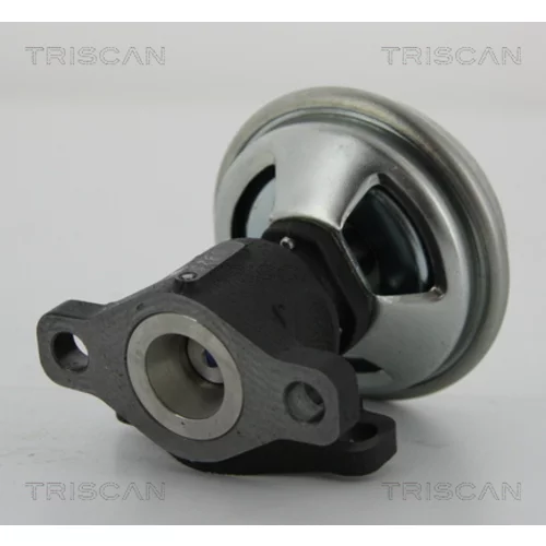 EGR ventil 8813 43003 /TRISCAN/ - obr. 1