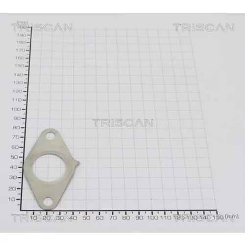 Tesnenie TRISCAN 8813 9931