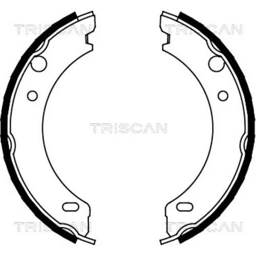 Sada brzd. čeľustí parkov. brzdy 8100 27538 /TRISCAN/