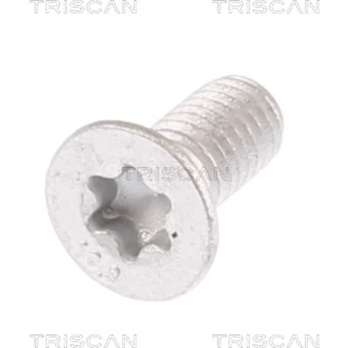 Skrutka brzdového kotúča TRISCAN 8105 11671