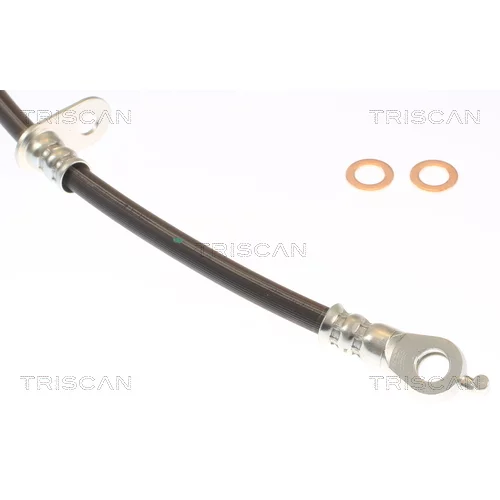 Brzdová hadica 8150 131007 /TRISCAN/ - obr. 1
