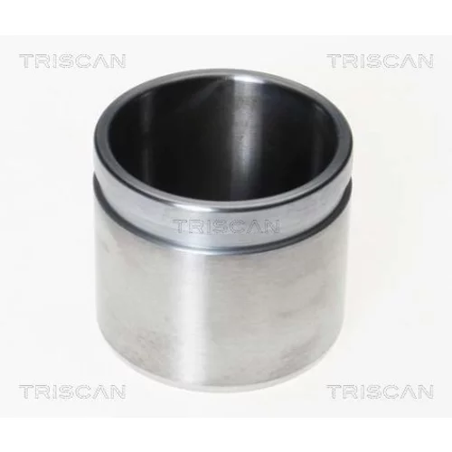 Piest brzdového strmeňa 8170 232144 /TRISCAN/