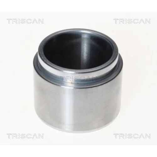 Piest brzdového strmeňa 8170 232145 /TRISCAN/
