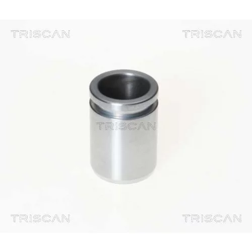 Piest brzdového strmeňa 8170 233204 /TRISCAN/