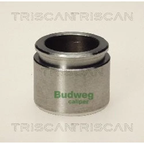 Piest brzdového strmeňa 8170 233611 /TRISCAN/