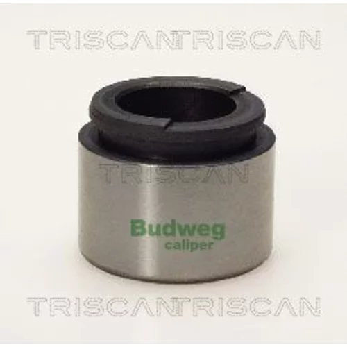 Piest brzdového strmeňa 8170 233625 /TRISCAN/