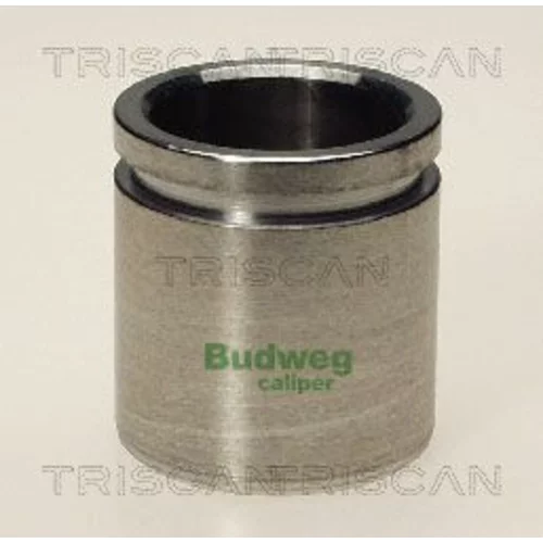 Piest brzdového strmeňa 8170 233823 /TRISCAN/