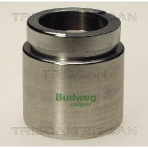 Piest brzdového strmeňa 8170 234407 /TRISCAN/