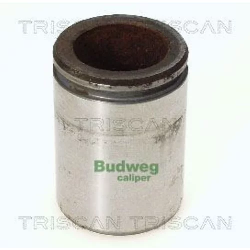 Piest brzdového strmeňa 8170 234414 /TRISCAN/