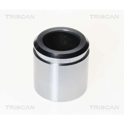 Piest brzdového strmeňa 8170 234614 /TRISCAN/
