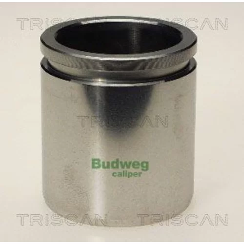 Piest brzdového strmeňa 8170 234810 /TRISCAN/