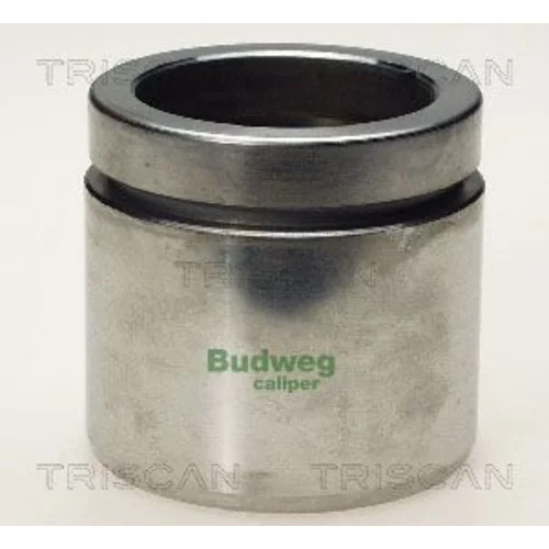 Piest brzdového strmeňa 8170 235415 /TRISCAN/