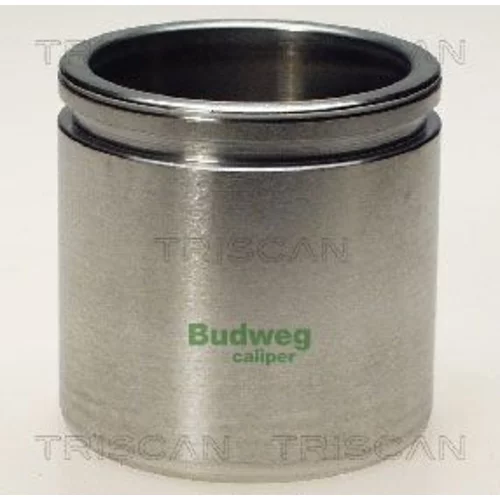 Piest brzdového strmeňa 8170 235435 /TRISCAN/
