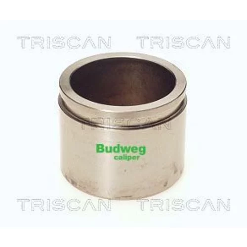 Piest brzdového strmeňa 8170 235736 /TRISCAN/