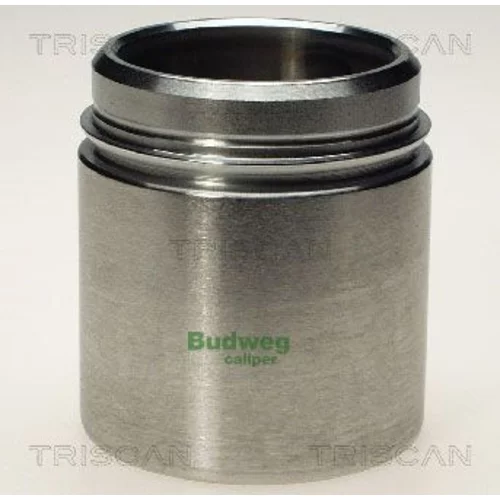 Piest brzdového strmeňa 8170 236018 /TRISCAN/