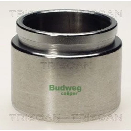 Piest brzdového strmeňa 8170 236020 /TRISCAN/