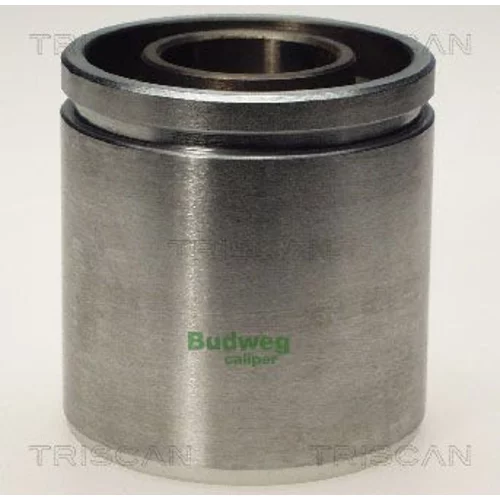 Piest brzdového strmeňa 8170 236029 /TRISCAN/