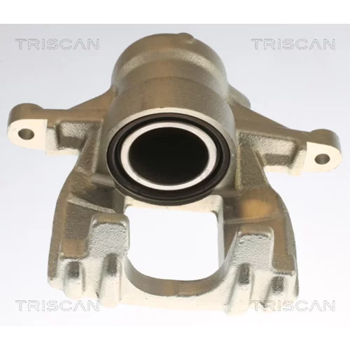 Brzdový strmeň TRISCAN 8175 10220