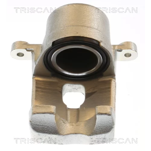 Brzdový strmeň TRISCAN 8175 13119