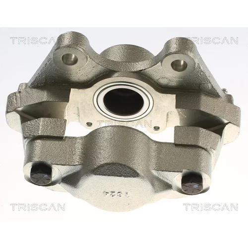 Brzdový strmeň TRISCAN 8175 17205