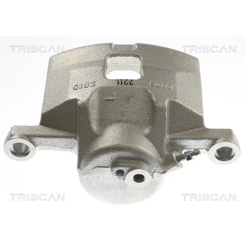 Brzdový strmeň 8175 24109 /TRISCAN/ - obr. 1