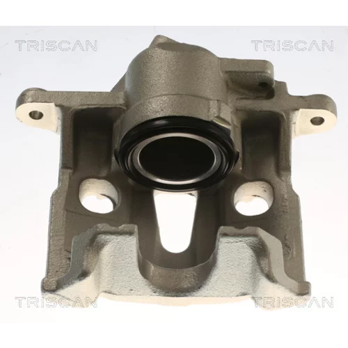 Brzdový strmeň TRISCAN 8175 29176