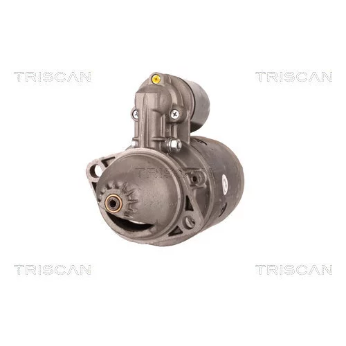 Štartér TRISCAN 8305 10117