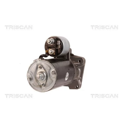 Štartér 8305 29030 /TRISCAN/ - obr. 4
