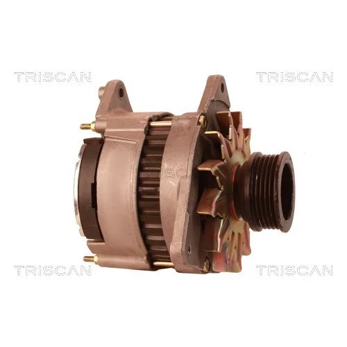 Alternátor 8310 10009 /TRISCAN/ - obr. 3