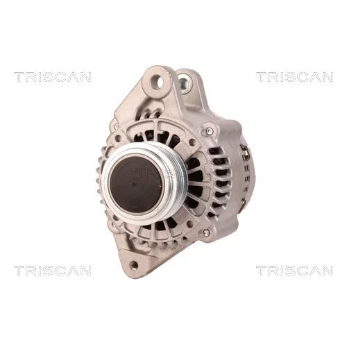Alternátor 8310 10014 /TRISCAN/ - obr. 5