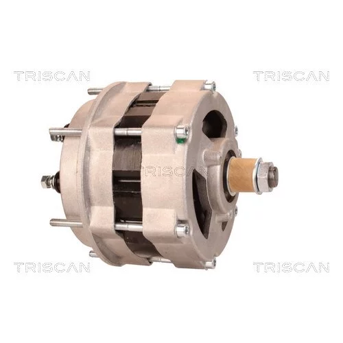 Alternátor 8310 10036 /TRISCAN/ - obr. 6