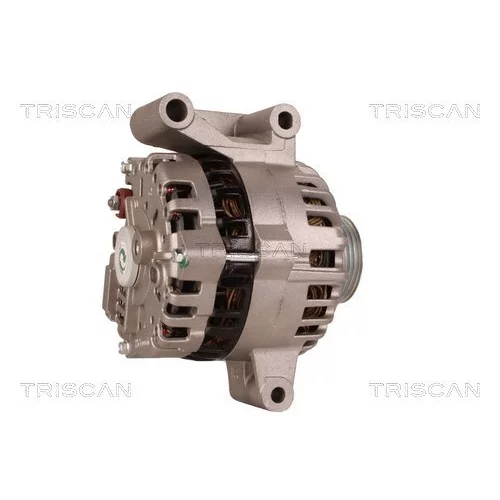 Alternátor 8310 10048 /TRISCAN/ - obr. 2