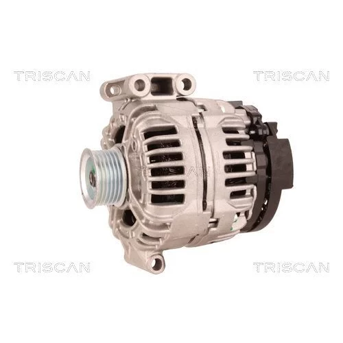 Alternátor 8310 10048 /TRISCAN/ - obr. 6