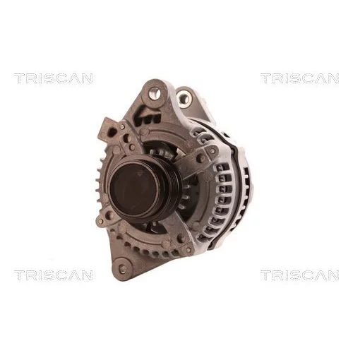 Alternátor 8310 10059 /TRISCAN/ - obr. 5